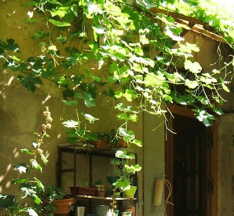 Готель La Vigne Bleue Olonzac Екстер'єр фото